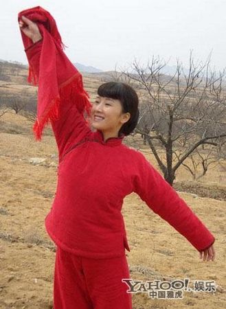 再加上一些相对有些土气的言行,这大概就是我们平时所讲的女星的村姑